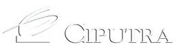 Ciputra Development