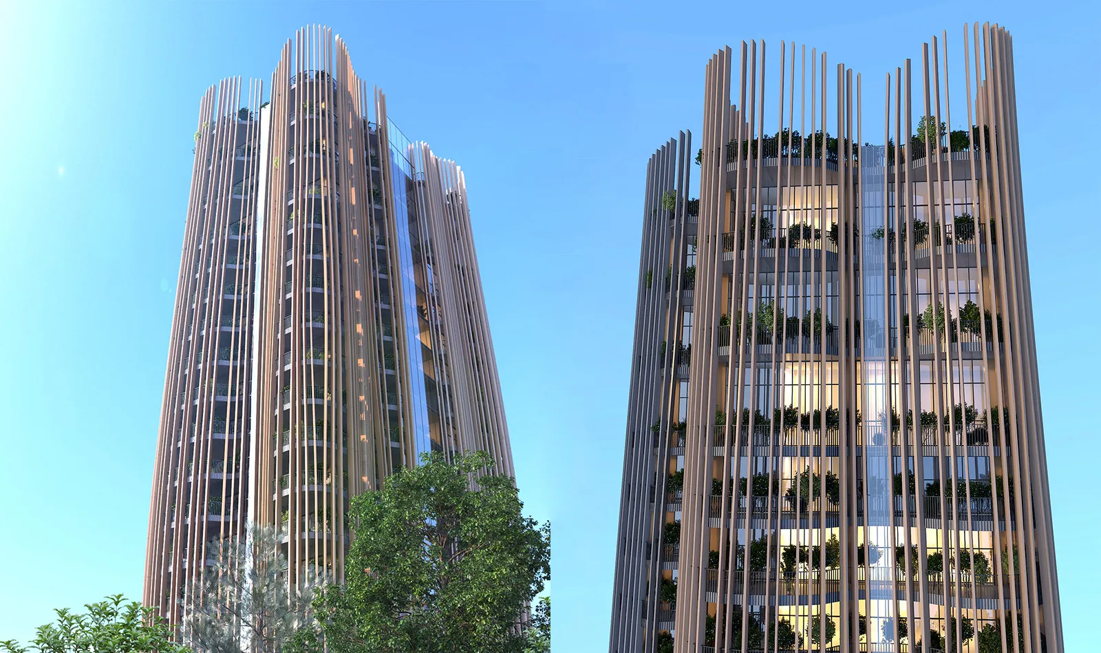 Domus Trees