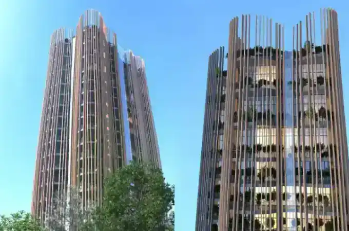 Domus Trees