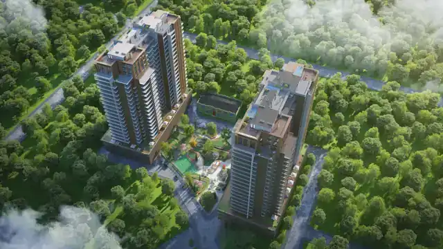Metropol Kavtaradze — Gallery View 2