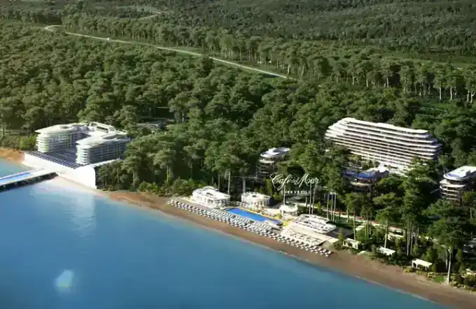 Shekvetili Forest Beach — Gallery View 1